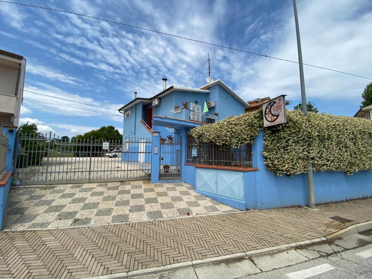 多尔斯索尼奥住宿加早餐公寓 SantʼElpidio a Mare 外观 照片